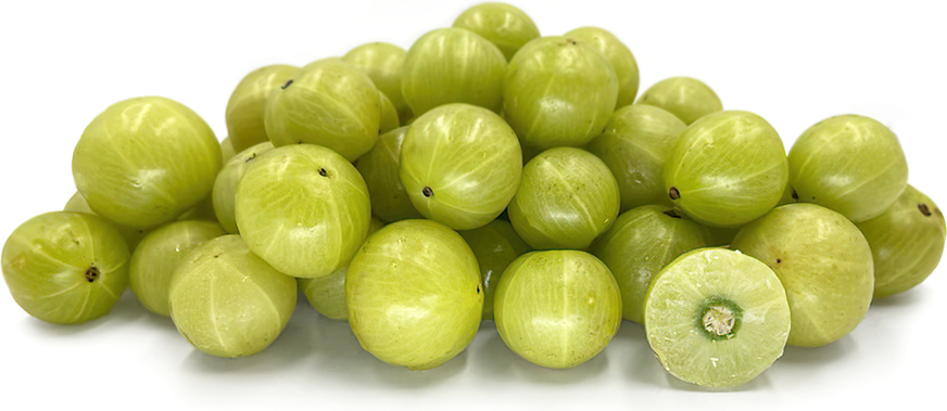 सर्दियों में आंवले का जूस पीना क्यों है फायदेमंद? जानें सेहत से जुड़े जबरदस्त लाभ