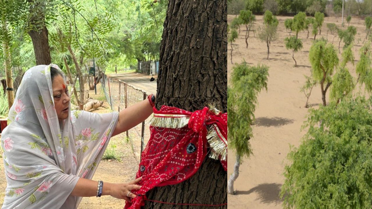 खेजड़ी बचाने के बीकानेर महापड़ाव को मिला वसुंधरा राजे का साथ तो डोटासरा ने साधा बीजेपी पर निशाना