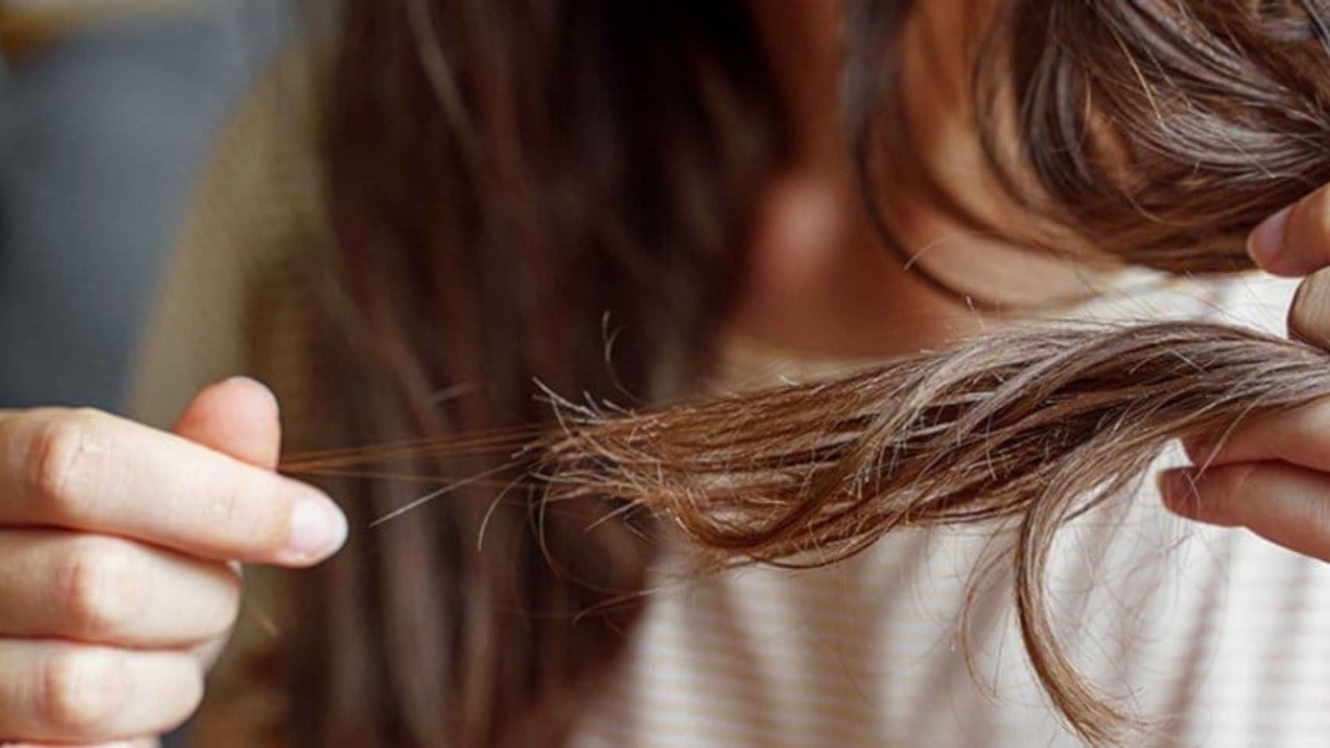 Hairfall Prevention, Healthy Hair, Long Hair