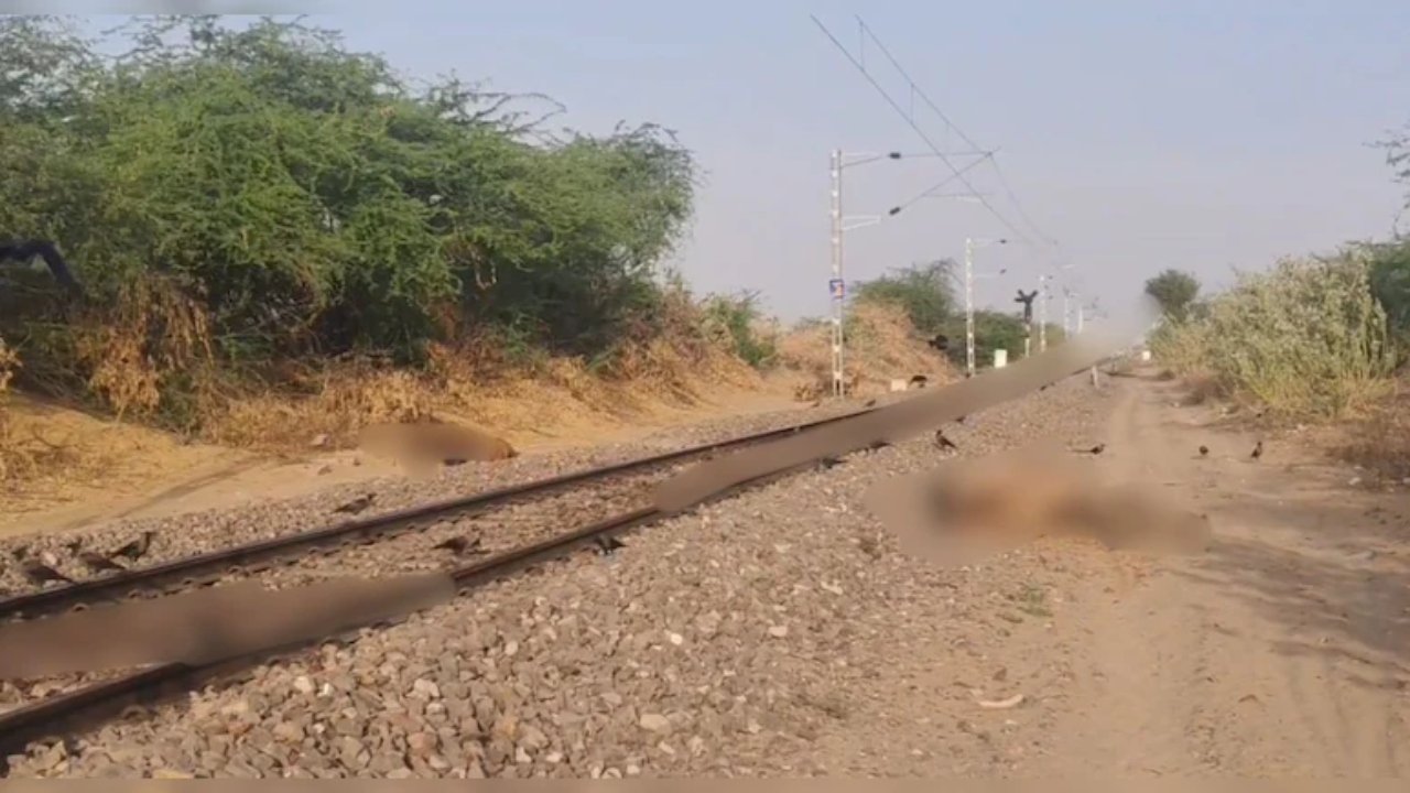 जैसलमेर में दर्दनाक हादसा, लीलण एक्सप्रेस ने ऊंटों के झुंड को मारी टक्कर, 6 राज्य पशुओं की मौत