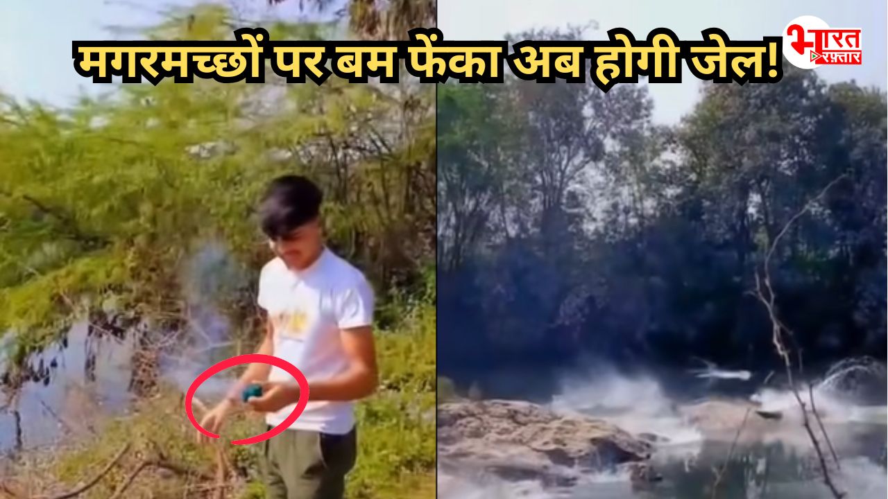 फेम के लिए मगरमच्छों पर बम फेंकना पड़ेगा भारी, मिलेगी कड़ी सज़ा