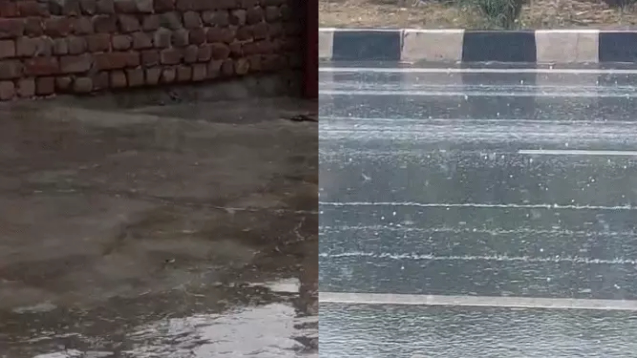 राजधानी जयपुर और अलवर में सुबह-सुबह बारिश, प्रदेश में हीटवेव के बीच IMD की भविष्यवाणी कर देगी खुश, जानें मौसम का पूरा हाल