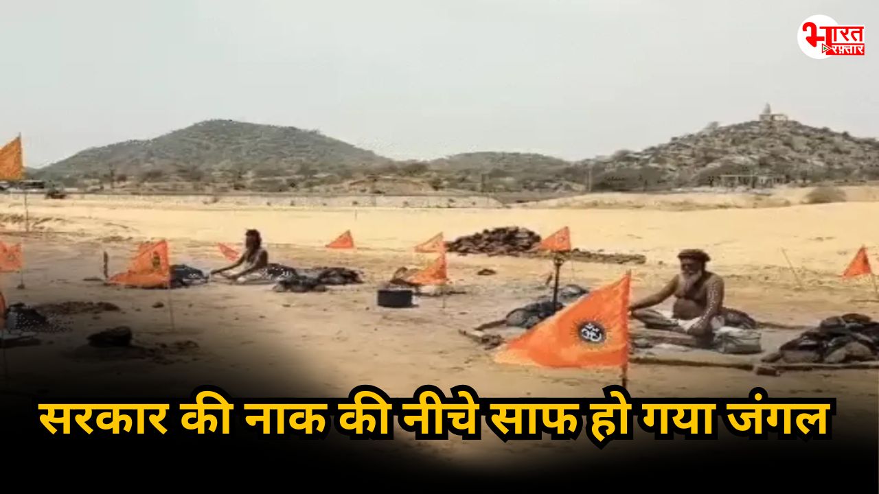 भजनलाल सरकार के ‘ग्रीन’ बजट का ‘काला सच’, भैराणा धाम में 21,300 पेड़ कटे, ग्रीन बजट का काला सच?
