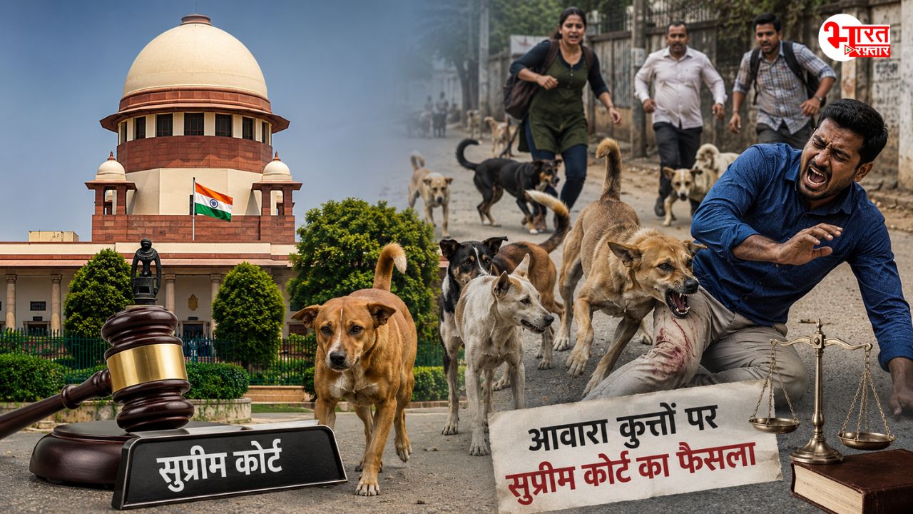 सुप्रीम कोर्ट का फैसला: सड़क से हटाए ही जाएंगे आवारा कुत्ते, कहा- काटने वाले कुत्तों को फिर इंजेक्शन देकर मार दो...