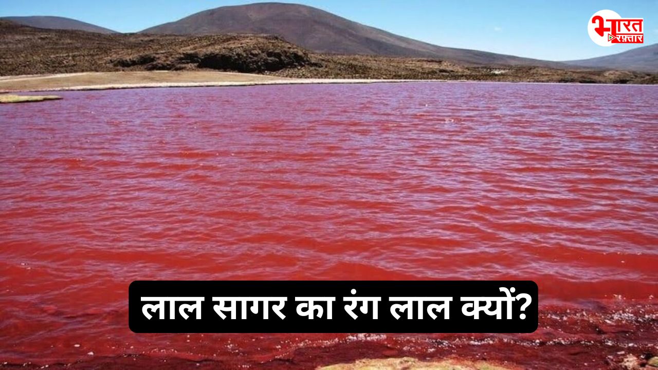 red sea