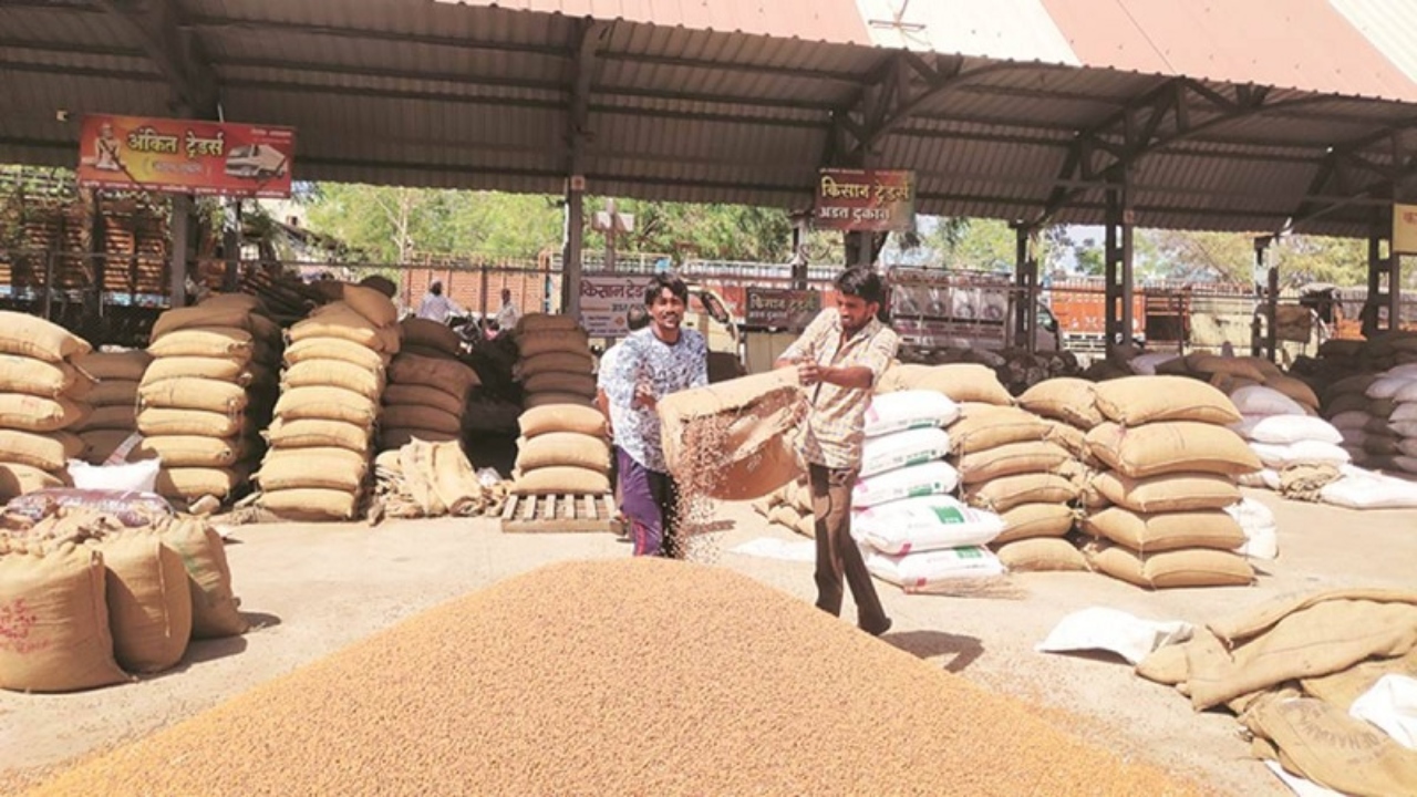 मोदी सरकार ने किसानों को दी बड़ी राहत, MSP पर चने की खरीद अब 24 जून तक होगी