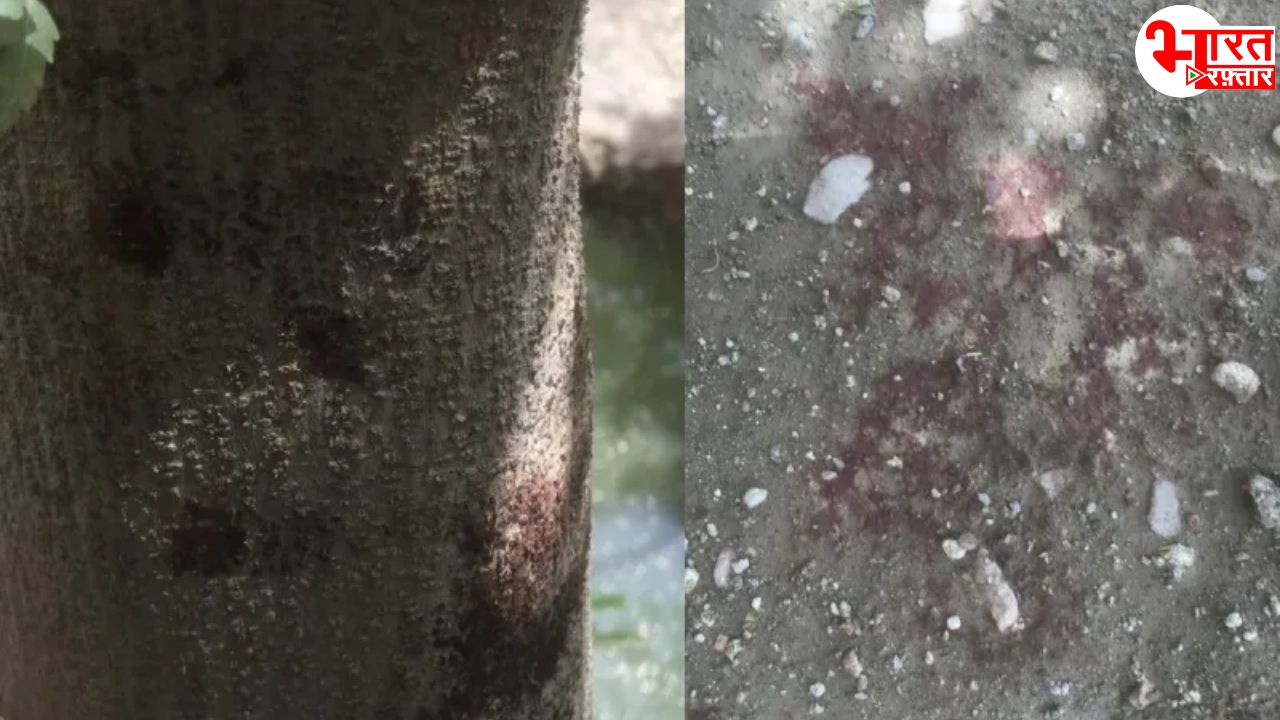 अजमेर के रामसिंह हत्याकांड में नए खुलासे: चाकू, खून और जले ग्लव्स बने सबूत, पत्नी पुलिस रिमांड पर 