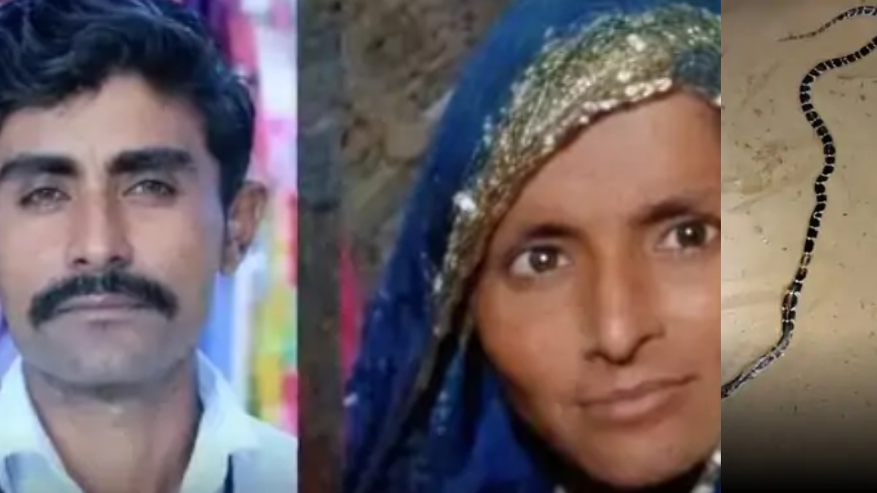 बाड़मेर में सांप के काटने से दंपत्ति की मौत, बेटे का एम्स में चल रहा इलाज, अगली रात को उसी जगह पहुंचा ग्रामीणों ने मार डाला